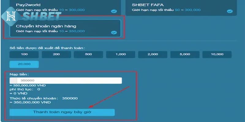 Quy trình thực hiện nạp tiền SHBET nhanh chóng qua ngân hàng