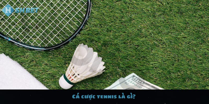 Cá cược tennis là gì?